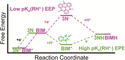 TOC graphic for Importance of proton-coupled electron transfer in cathodic regeneration of organic hydrides